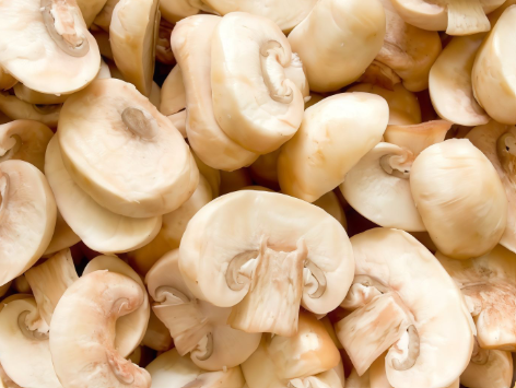 Mushroom
